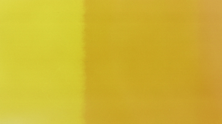 yellow background